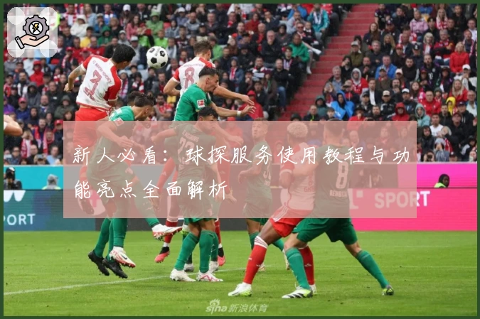 新人必看：球探服务使用教程与功能亮点全面解析