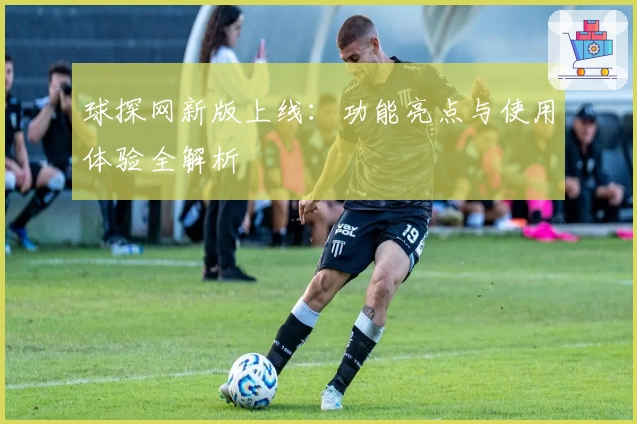 球探网新版上线：功能亮点与使用体验全解析