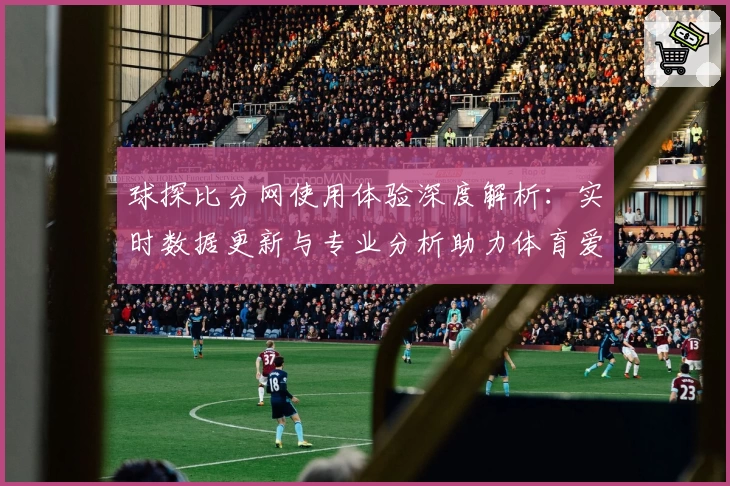 球探比分网使用体验深度解析:实时数据更新与专业分析助力体育爱好者