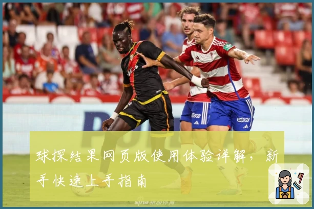 球探结果网页版使用体验详解，新手快速上手指南