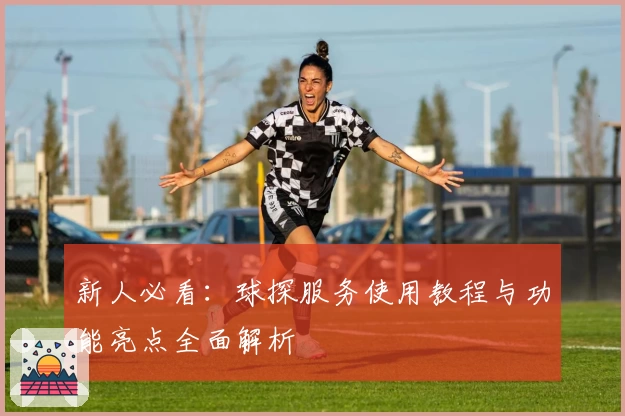 新人必看：球探服务使用教程与功能亮点全面解析